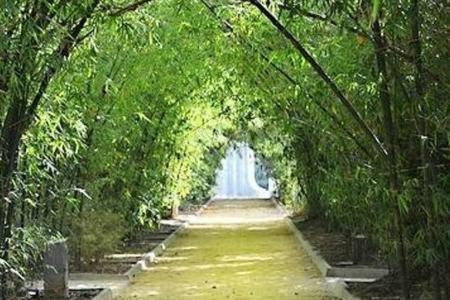 Gfs Home Санта-Крус-де-Тенерифе Экстерьер фото